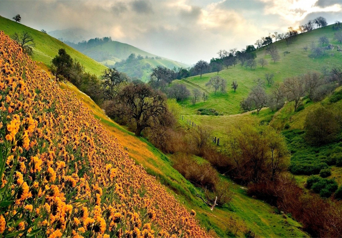valley of flowers trek